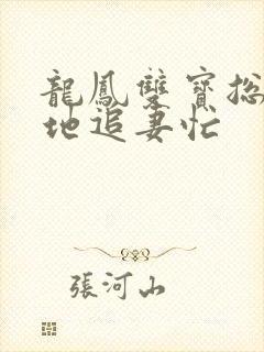 龙凤双宝总裁爹地追妻忙