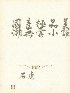 国产极品美女高潮无套小说