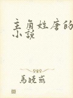 主角姓唐的穿越小说封面