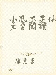 小凰不是仙小说免费阅读