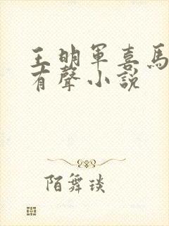 王明军喜马拉雅有声小说