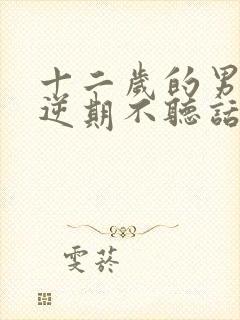 十二岁的男孩叛逆期不听话怎么办