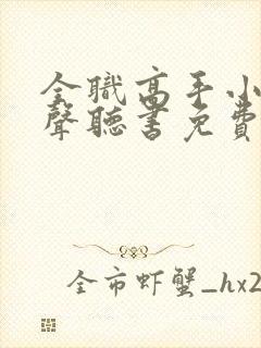 全职高手小说有声听书免费封面