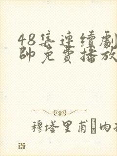 48集连续剧少帅免费播放