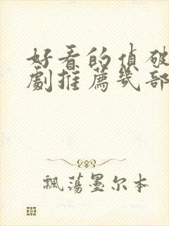 好看的侦破电视剧推荐几部