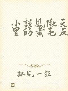 小说凤傲天小说里的黄毛反派也想幸福