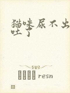 猫咪尿不出来还吐了