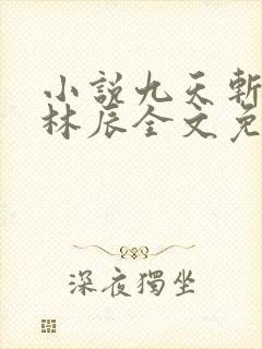 小说九天斩神诀林辰全文免费阅读