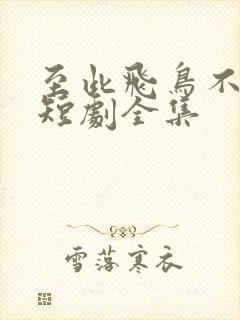 至此飞鸟不相逢短剧全集