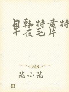 日韩特黄特刺激午夜毛片封面
