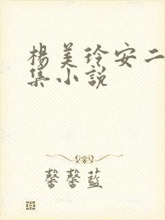 杨美玲安二狗全集小说