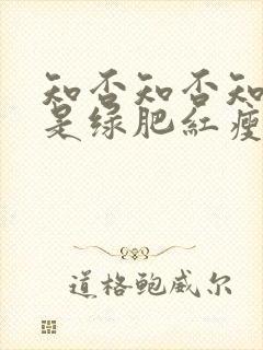 知否知否知否应是绿肥红瘦 在线