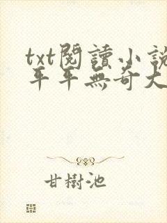 txt阅读小说平平无奇大师兄封面