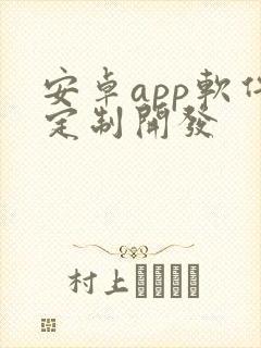 安卓app软件定制开发