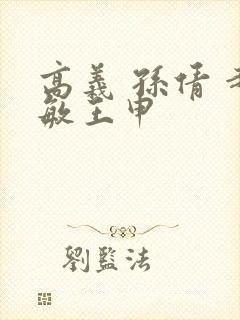 高义 孙倩 赵敏王申封面