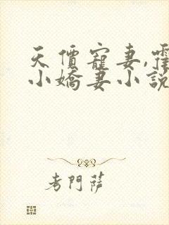 天价宠妻,霍总小娇妻小说免费