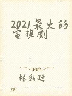 2021最火的电视剧