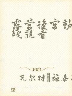 露营后宫动漫在线观看