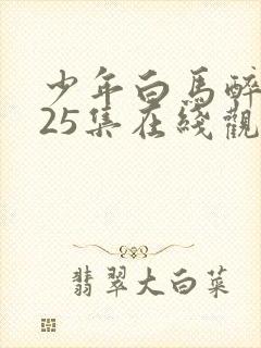 少年白马醉春风25集在线观看免费