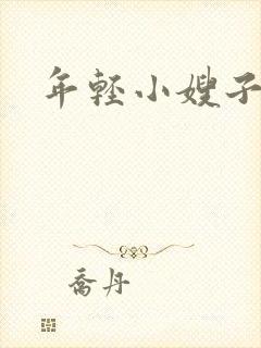 年轻小嫂子4封面