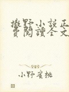 撒野小说正版免费阅读全文无弹窗