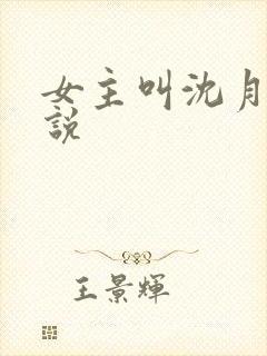 女主叫沈月的小说