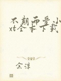 不期而爱小说txt全本下载封面