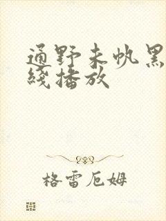 通野未帆黑人在线播放