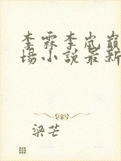 李霖李岚巅峰官场小说最新章节更新