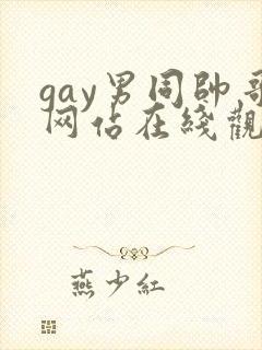 gay男同帅哥网站在线观看封面
