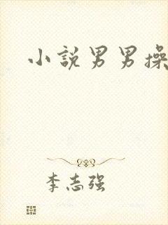 小说男男操爽了封面