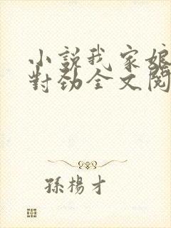 小说我家娘子不对劲全文阅读封面