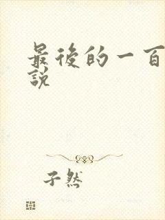 最后的一百天小说封面