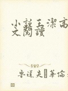 小说王洁高义全文阅读