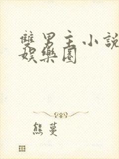 双男主小说推荐娱乐圈封面