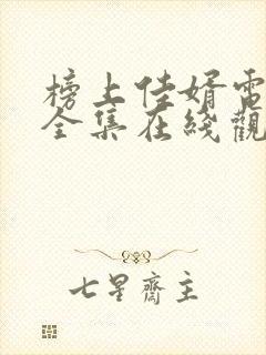 榜上佳婿电视剧全集在线观看免费封面