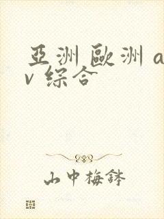 亚洲 欧洲 av 综合