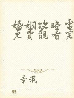 婚姻攻略电视剧免费观看完整版高清封面