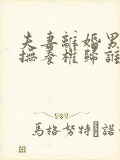 夫妻离婚男孩子抚养权归谁