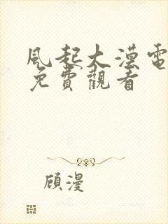 风起大漠电视剧免费观看