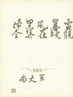 扫黑风暴电视剧全集在线观看免费