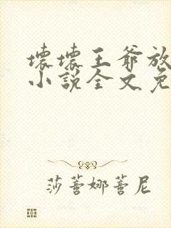 坏坏王爷放肆爱小说全文免费阅读