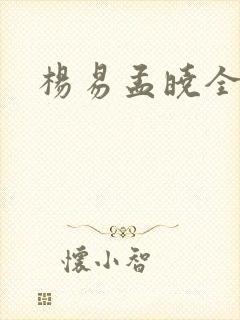 杨易孟晓全文封面