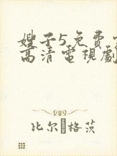 嫂子5免费完整高清电视剧封面