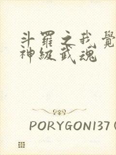 斗罗之我觉醒了神级武魂