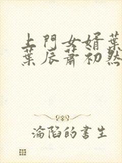 上门女婿叶辰 叶辰萧初然531封面