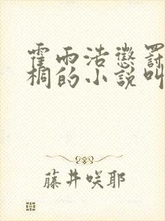 霍雨浩惩罚唐舞桐的小说叫什么