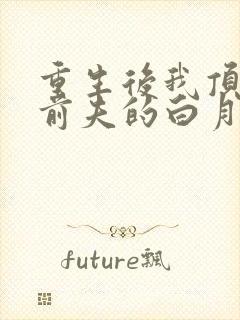 重生后我顶替了前夫的白月光完结