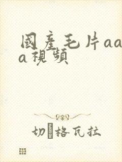 国产毛片aaaa视频