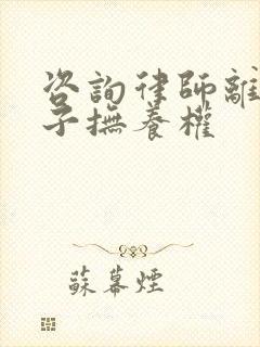 咨询律师离婚孩子抚养权